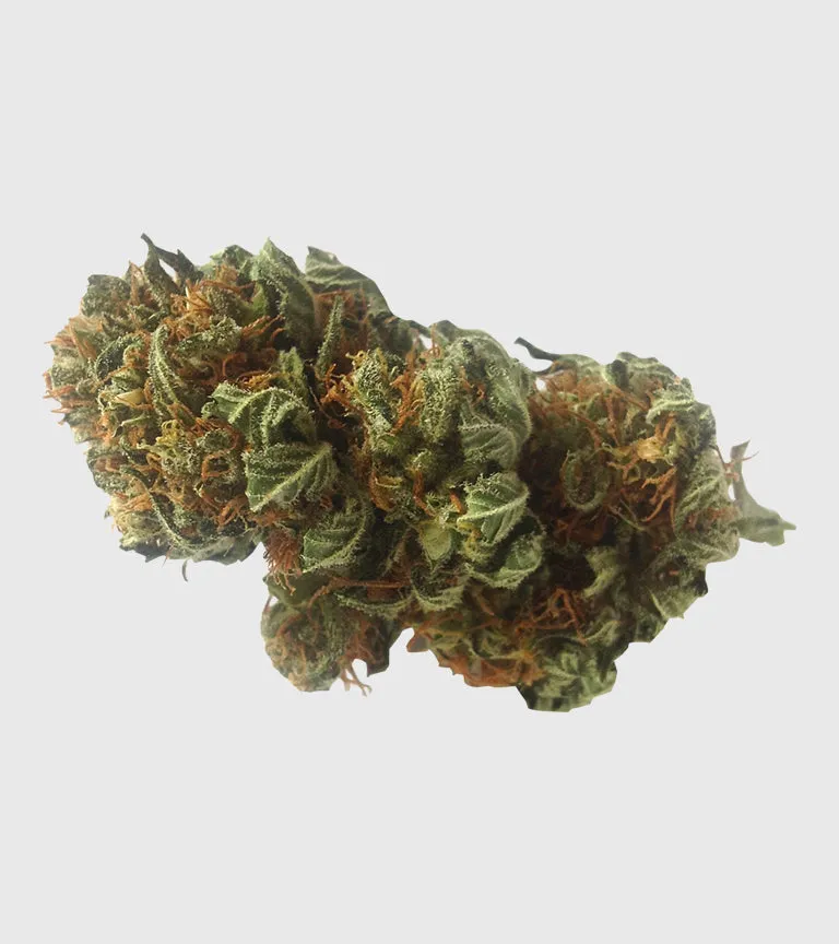 Afghani Indica