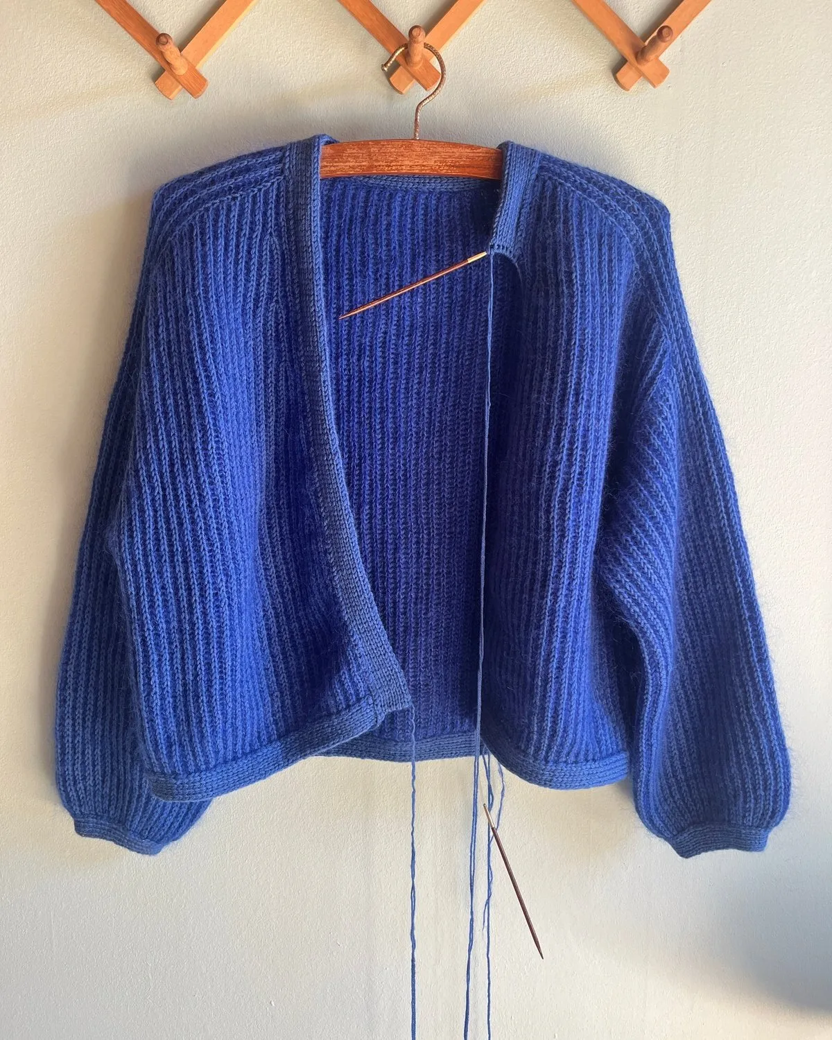 Champagne Supernova Cardigan English